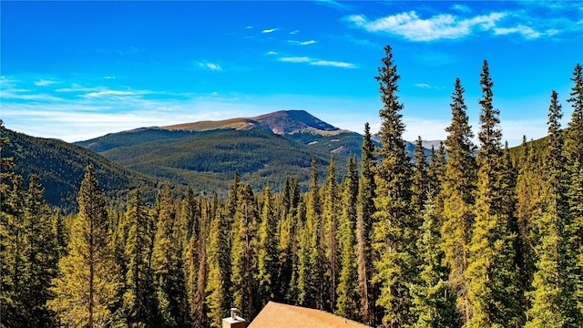 554 Lakeview Dr, Breckenridge, CO 80424 - mountain view featuring a heavily wooded area