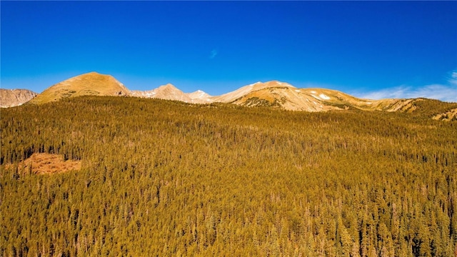 554 Lakeview Dr, Breckenridge, CO 80424 - view of mountain background with a forest