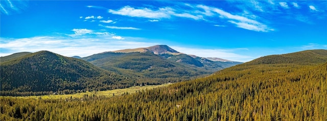 554 Lakeview Dr, Breckenridge, CO 80424 - mountain view with a heavily wooded area