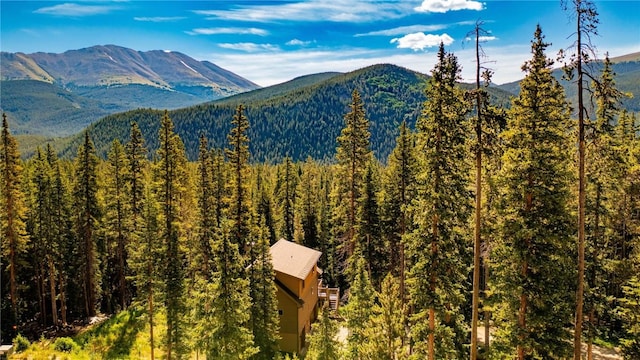 554 Lakeview Dr, Breckenridge, CO 80424 - view of mountain background with a forest