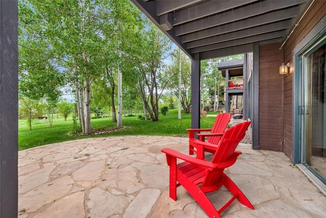 1250 Harwig Cir, Steamboat Springs, CO 80487 - view of patio