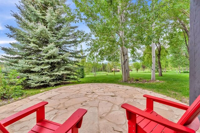 1250 Harwig Cir, Steamboat Springs, CO 80487 - view of patio