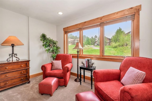 1250 Harwig Cir, Steamboat Springs, CO 80487 - living area with carpet, baseboards, and recessed lighting