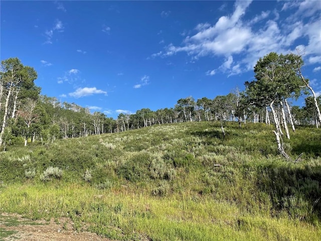 27200 Frisco Pl, Clark, CO 80428