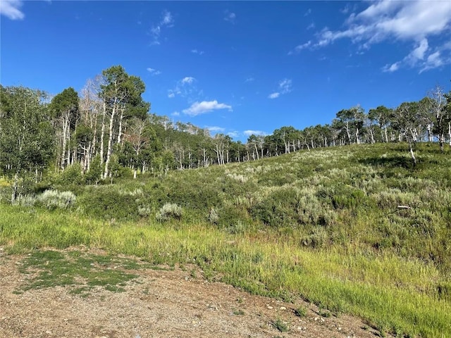27200 Frisco Pl, Clark, CO 80428