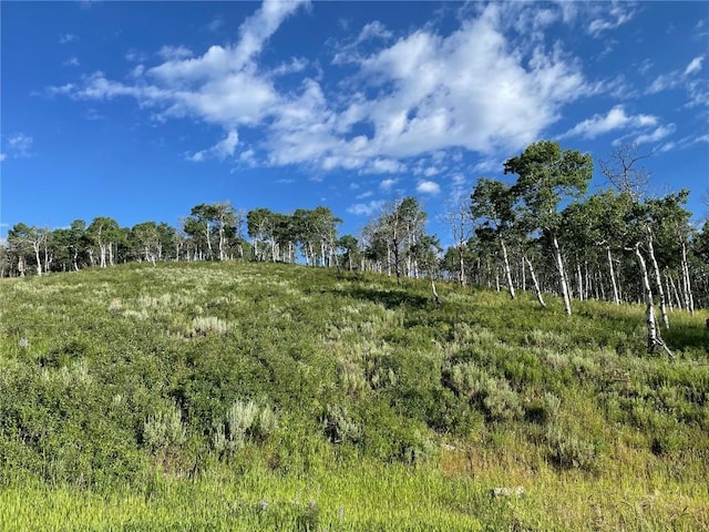 27200 Frisco Pl, Clark, CO 80428