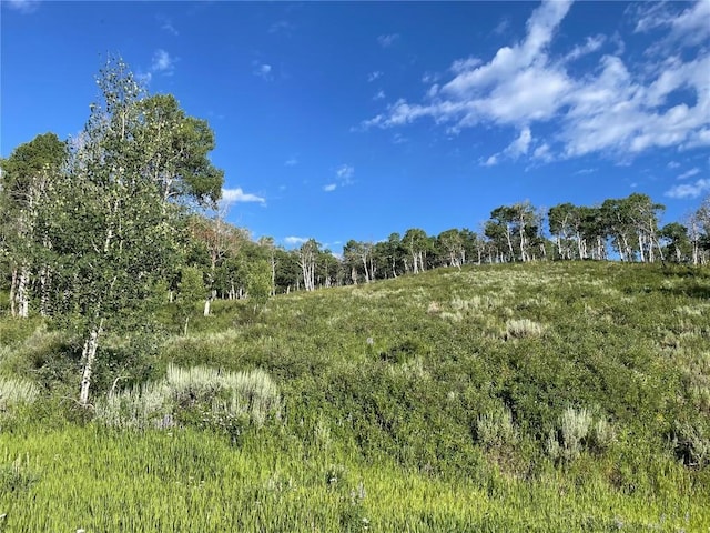 27200 Frisco Pl, Clark, CO 80428