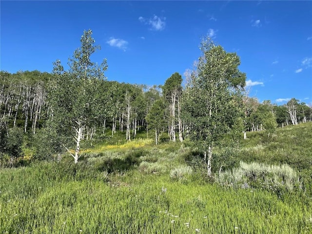 27200 Frisco Pl, Clark, CO 80428