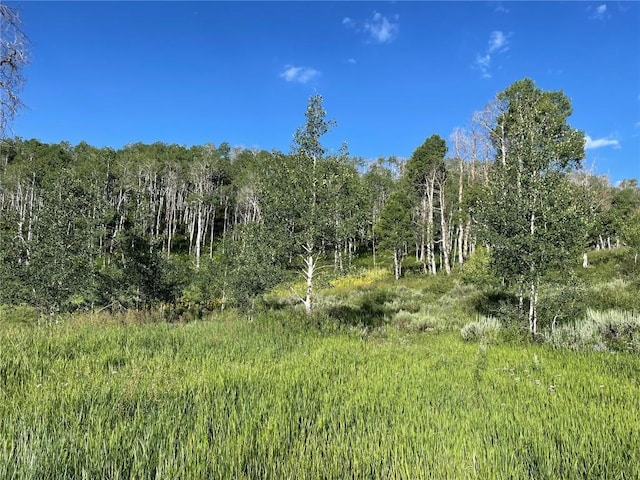27200 Frisco Pl, Clark, CO 80428