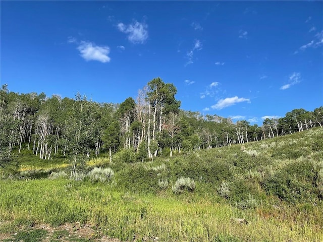 27200 Frisco Pl, Clark, CO 80428