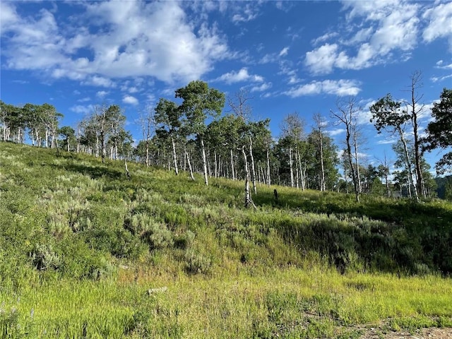 27200 Frisco Pl, Clark, CO 80428