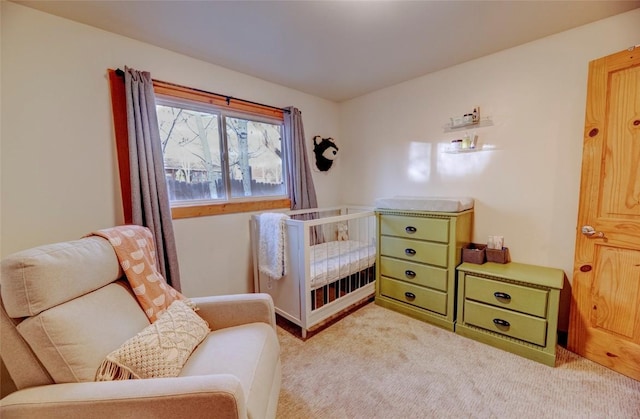 sitting room with carpet flooring