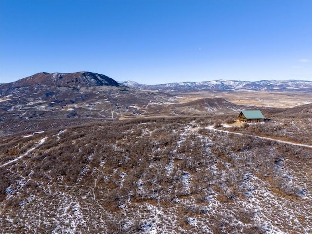 45100 Diamondback Way, Steamboat Springs, CO 80487 - photo 29