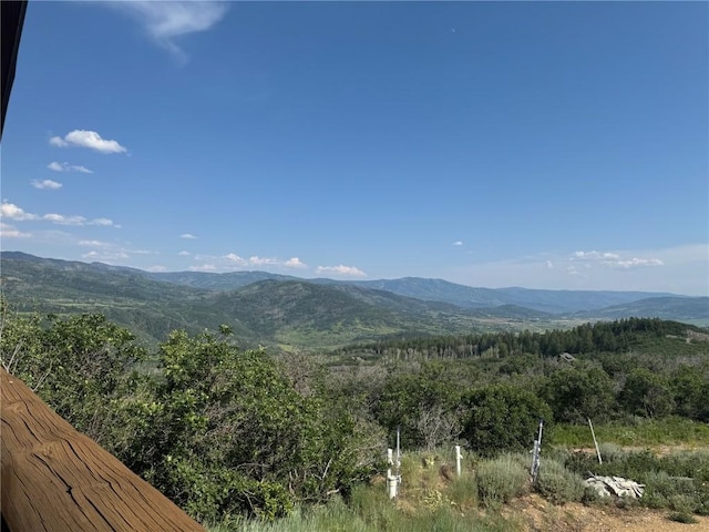 45100 Diamondback Way, Steamboat Springs, CO 80487 - photo 1