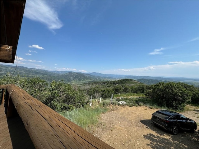 45100 Diamondback Way, Steamboat Springs, CO 80487 - photo 22