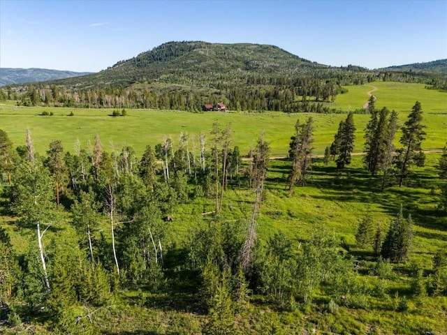 TBD Pima Way, Oak Creek, CO 80467 - photo 22