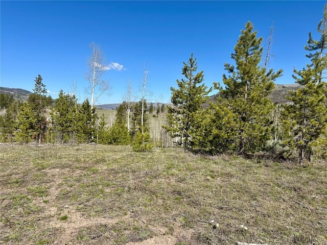 TBD Pima Way, Oak Creek, CO 80467
