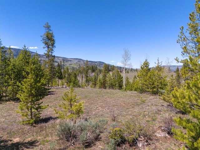 TBD Pima Way, Oak Creek, CO 80467