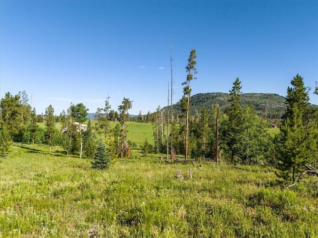 TBD Pima Way, Oak Creek, CO 80467 - photo 15