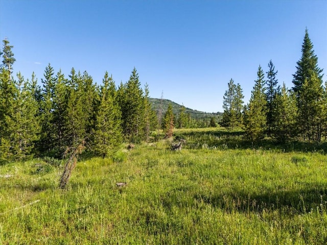 TBD Pima Way, Oak Creek, CO 80467 - photo 6