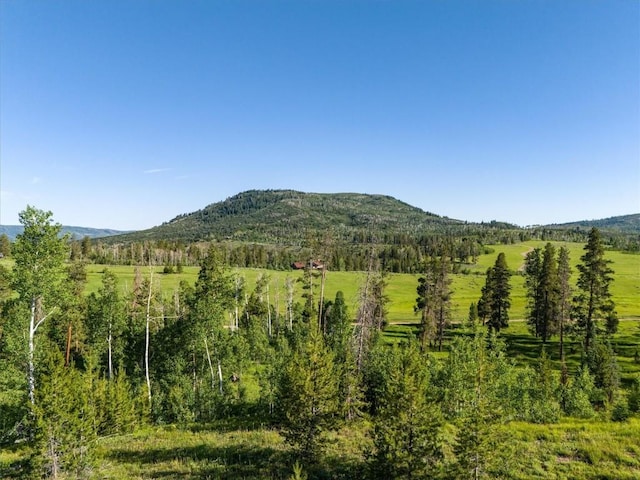 TBD Pima Way, Oak Creek, CO 80467 - photo 18