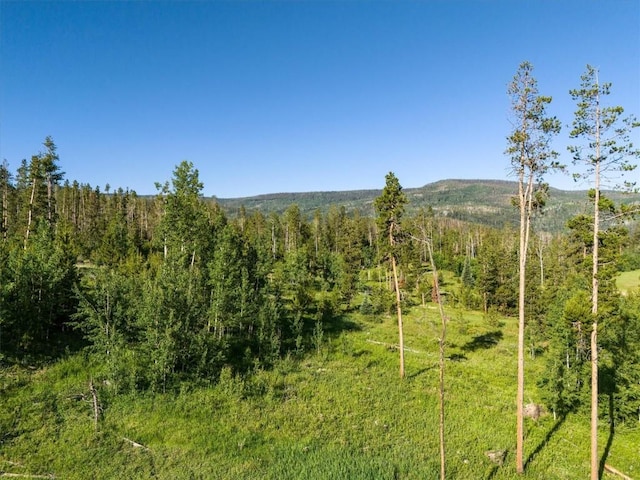 TBD Pima Way, Oak Creek, CO 80467 - photo 8