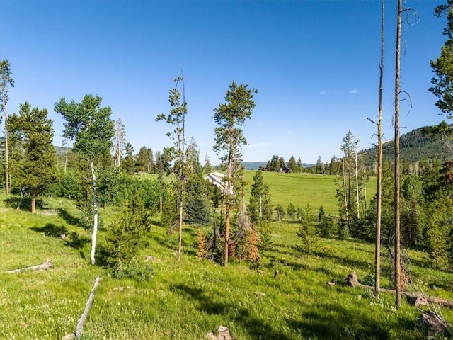 TBD Pima Way, Oak Creek, CO 80467 - photo 14
