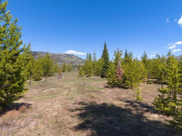 TBD Pima Way, Oak Creek, CO 80467