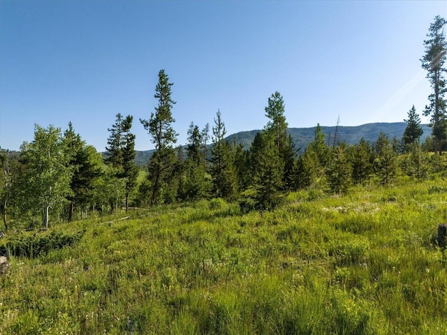 TBD Pima Way, Oak Creek, CO 80467 - photo 16