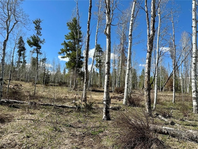 TBD Pima Way, Oak Creek, CO 80467