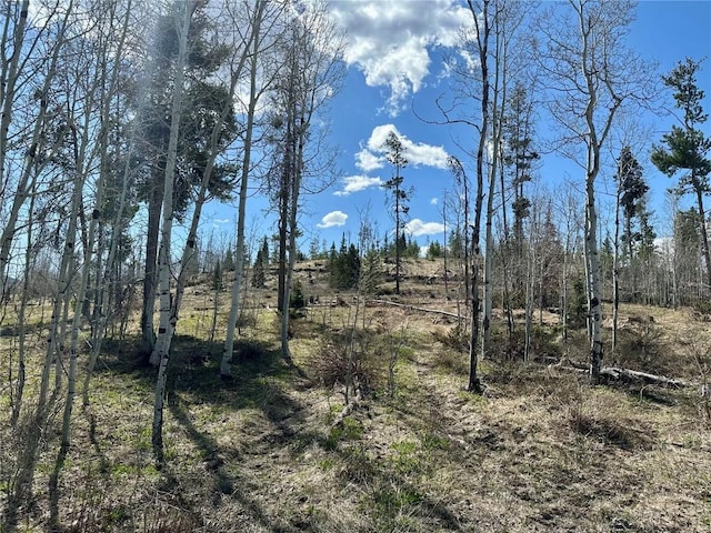 TBD Pima Way, Oak Creek, CO 80467