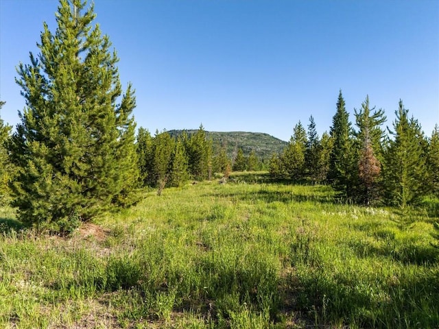 TBD Pima Way, Oak Creek, CO 80467 - photo 17