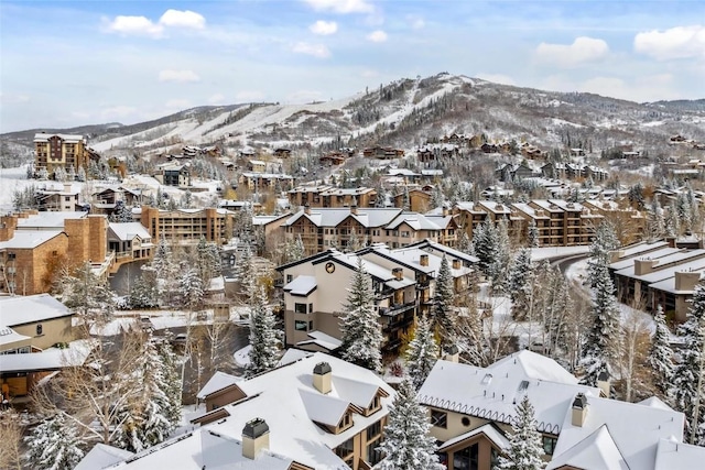 snowy aerial view with a residential view and a mountain view