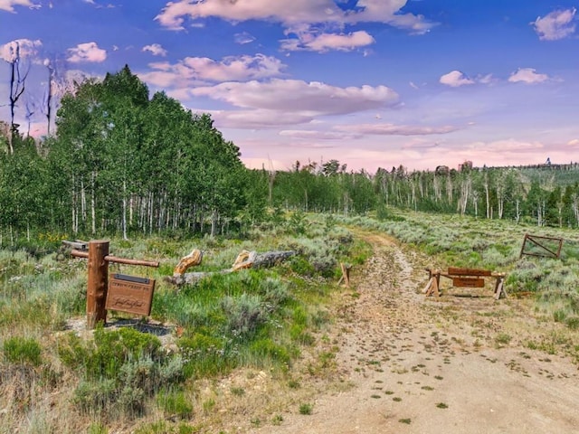 TBD Spring Creek Ranch Rd, Silverthorne, CO 80498 - photo 7