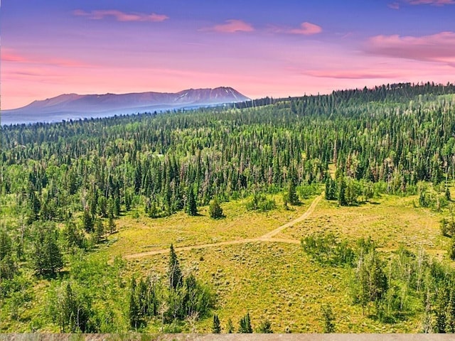 TBD Spring Creek Ranch Rd, Silverthorne, CO 80498 - photo 5