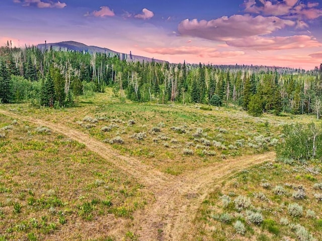 TBD Spring Creek Ranch Rd, Silverthorne, CO 80498 - photo 1
