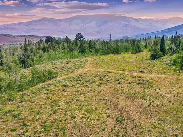 TBD Spring Creek Ranch Rd, Silverthorne, CO 80498 - photo 3