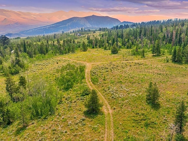 TBD Spring Creek Ranch Rd, Silverthorne, CO 80498 - photo 2