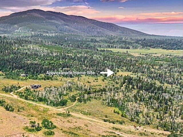 TBD Spring Creek Ranch Rd, Silverthorne, CO 80498 - photo 6
