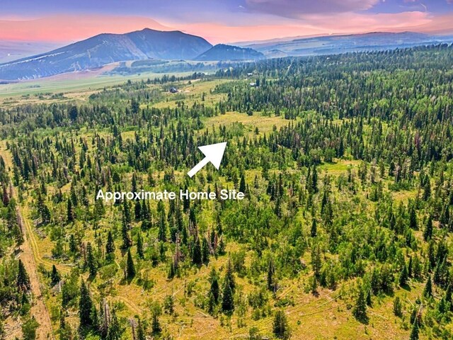 TBD Spring Creek Ranch Rd, Silverthorne, CO 80498 - photo 4