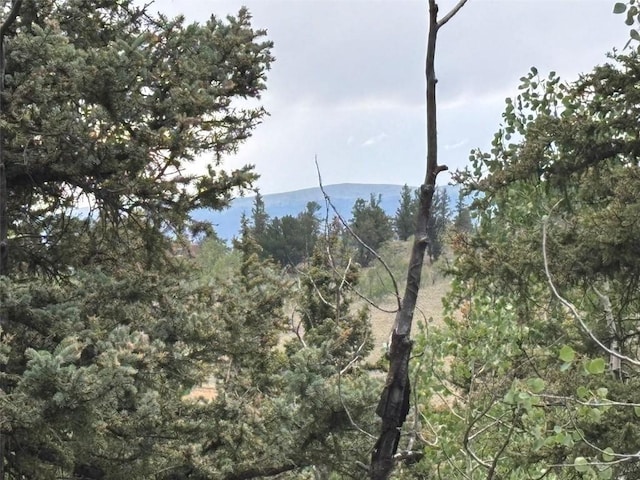 1928 Wells Fargo Cir, Jefferson, CO 80456