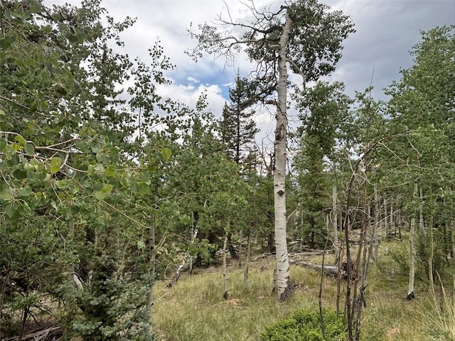 1928 Wells Fargo Cir, Jefferson, CO 80456