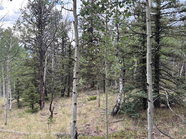 1928 Wells Fargo Cir, Jefferson, CO 80456
