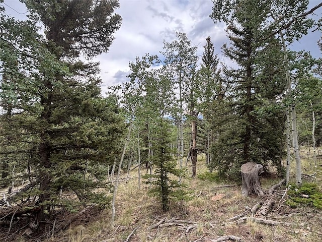 1928 Wells Fargo Cir, Jefferson, CO 80456