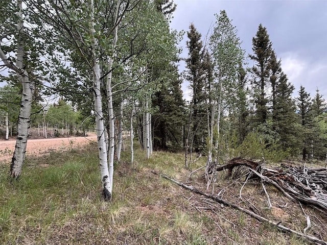 1928 Wells Fargo Cir, Jefferson, CO 80456