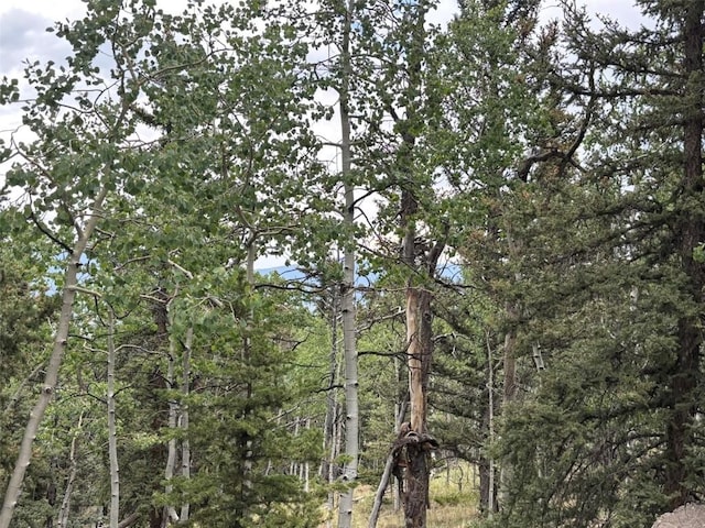 1928 Wells Fargo Cir, Jefferson, CO 80456
