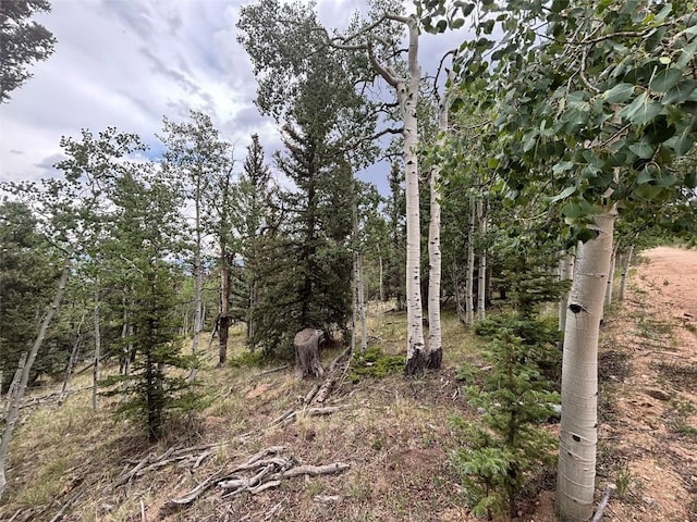 1928 Wells Fargo Cir, Jefferson, CO 80456