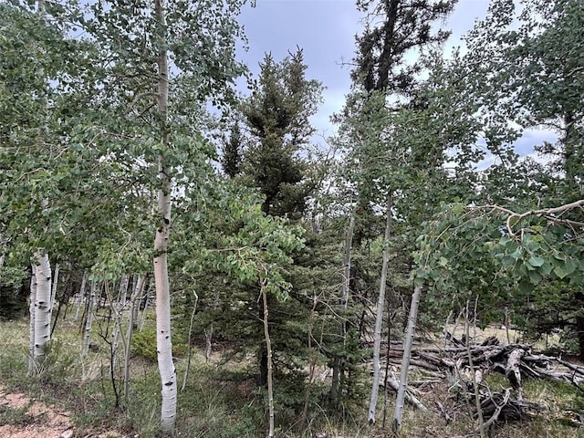 1928 Wells Fargo Cir, Jefferson, CO 80456