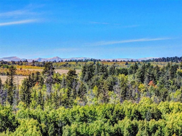900 Remington Rd, Como, CO 80432