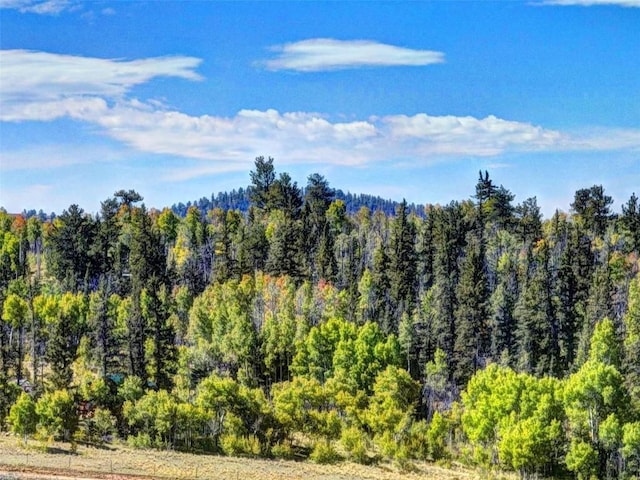 900 Remington Rd, Como, CO 80432